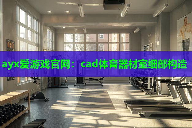 ayx爱游戏官网：cad体育器材室细部构造